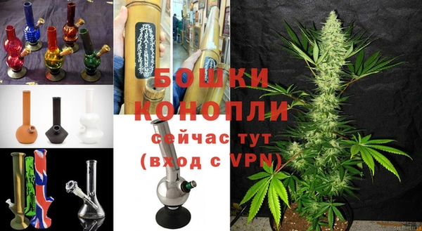 эйфоретик Богданович