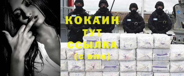 эйфоретик Богданович