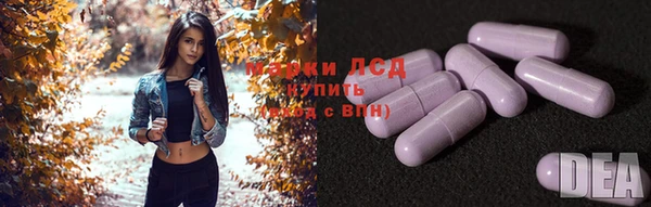 эйфоретик Богданович