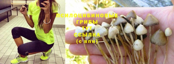 кокаин перу Богородицк