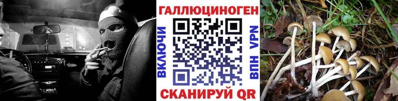 Купить закладки Долинск Галлюциногенные грибы MAGIC MUSHROOMS