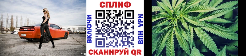 Купить где  Долинск  Бошки марихуана план 